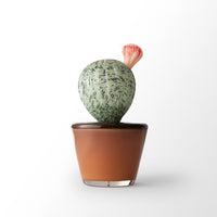 Potted Sonoran I