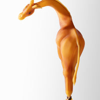 It's All Perspective