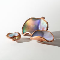 Dichro Nesting Bowl Set