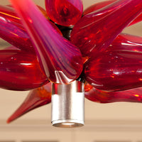 Tequila Star Pendant Light
