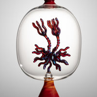 Neurons I and II