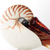 Nautilus