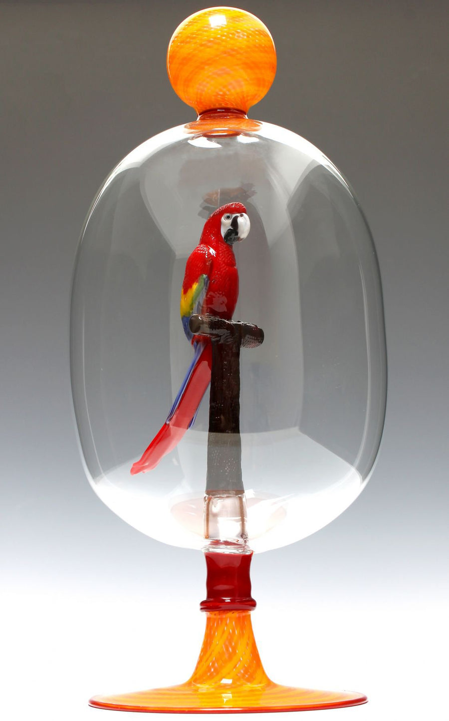 Scarlet Macaw Bottle