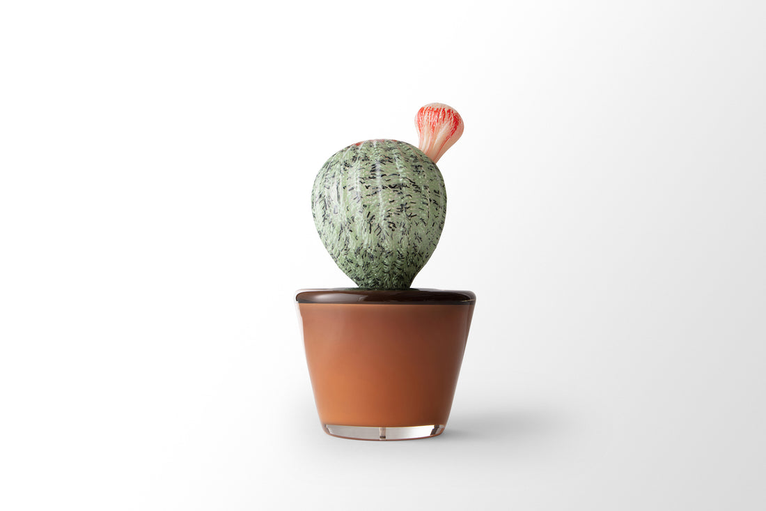Potted Sonoran I