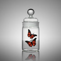 Metamorphosis I