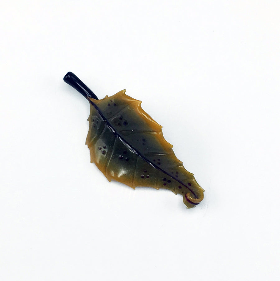 Brown Leaf with Curved Tip